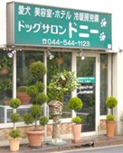 Store image